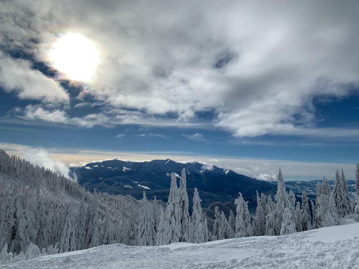 Silver Mountain Poiana Brasov Εξωτερικό φωτογραφία