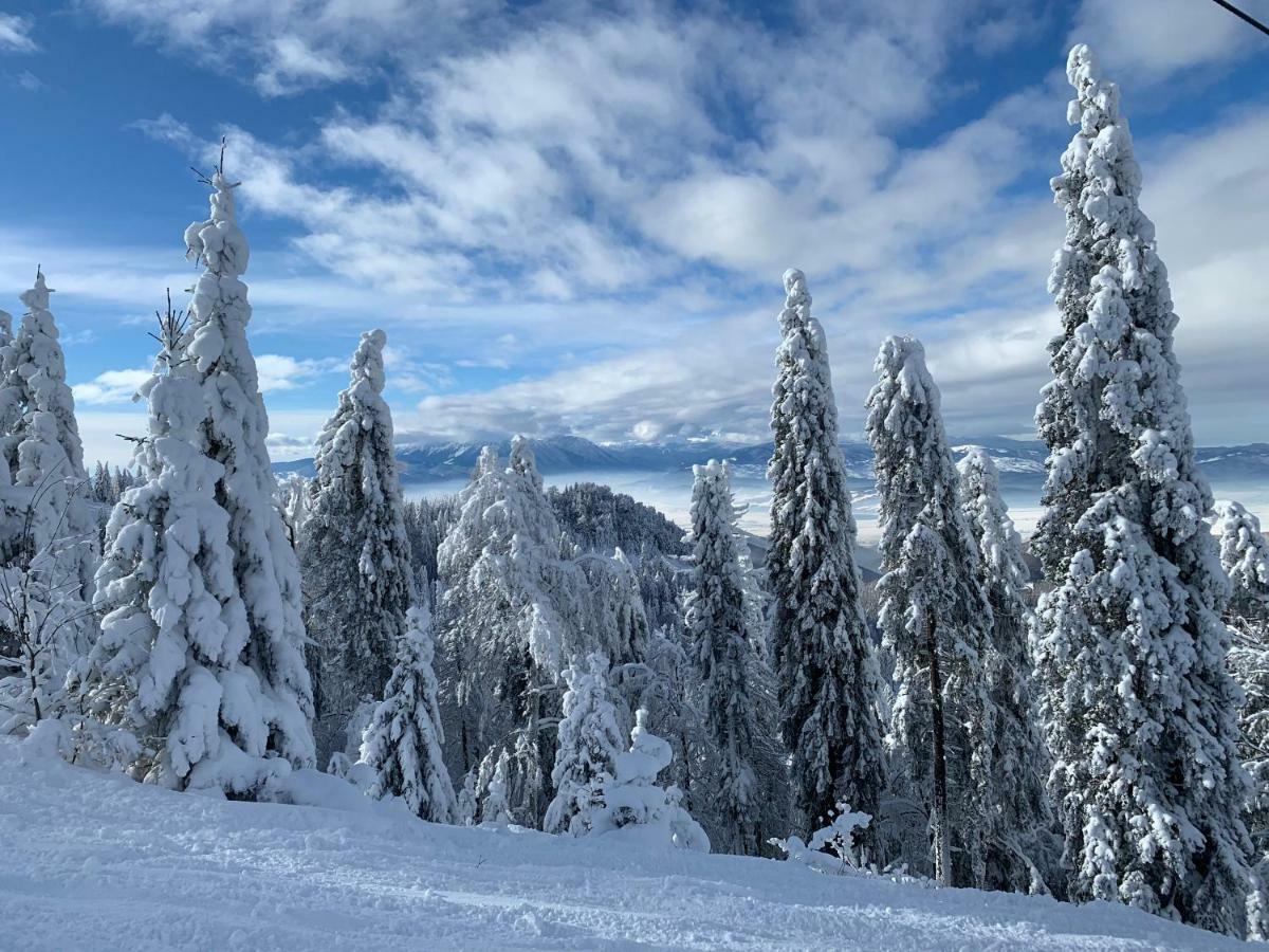 Silver Mountain Poiana Brasov Εξωτερικό φωτογραφία