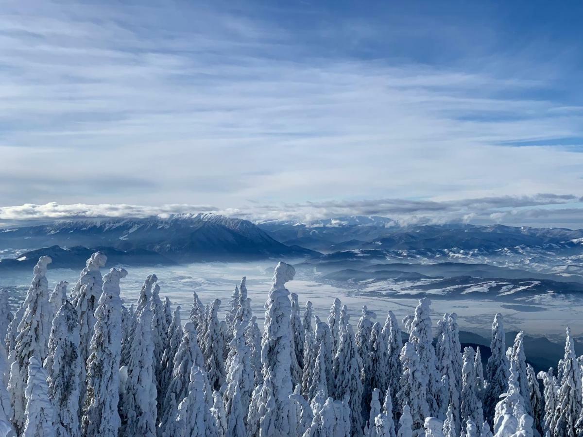 Silver Mountain Poiana Brasov Εξωτερικό φωτογραφία
